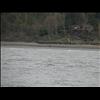 IMG_6533
3/21/2007 1:44:53 PM